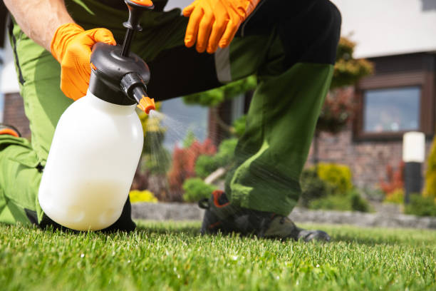 Reliable Washington, NC Pest Control Solutions